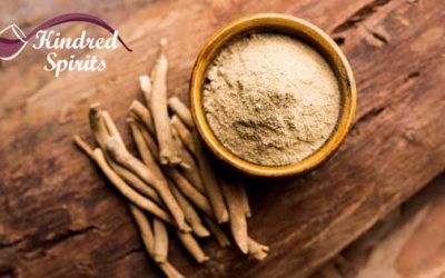 What to Know About Adaptogens?