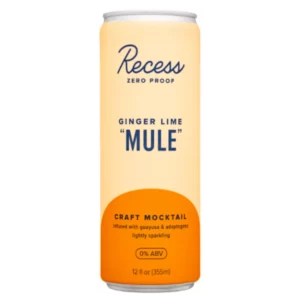 Recess - Ginger Lime Mule